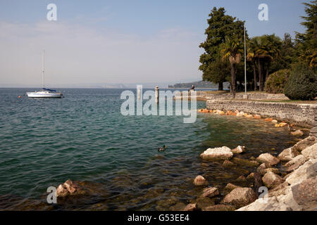 Ufer des Lake Garda, Lado di Garda, Veneto, Italien, Europa, PublicGround Stockfoto