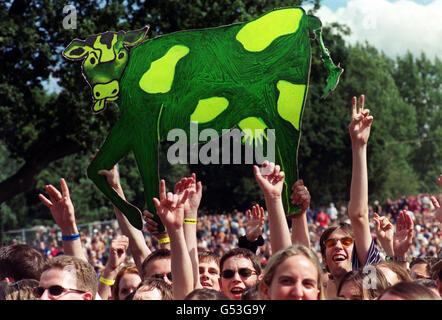 V2000 Menge & Kuh Stockfoto