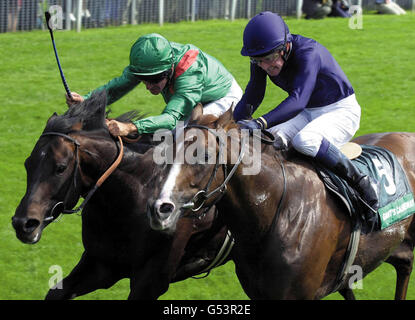 York Juddmonte Racing Stockfoto