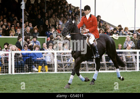 Pferdesport - Badminton Horse Trials - Badminton House Stockfoto