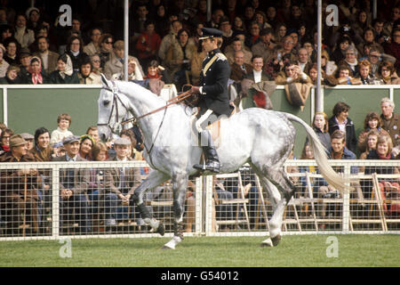 Kapitän Mark Phillips auf dem Queen's Horse Columbus während der Badminton Horse Trials. Er fuhr fort, den Sieg in der Veranstaltung zum dritten Mal zu behaupten Stockfoto