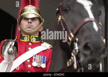 Horse Guards königliche Kanadier Stockfoto