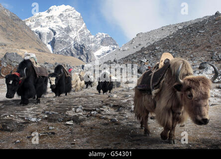 Wandern mit The Wounded Mount Everest-expedition Stockfoto