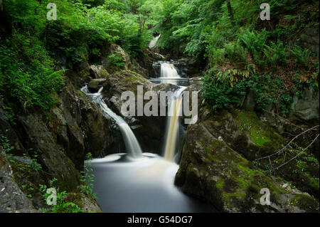 Eine Langzeitbelichtung Pecca fällt auf den Fluß Twiss entlang der Ingleton Wasserfall-Trail in der North Yorkshire Dales National Park Stockfoto