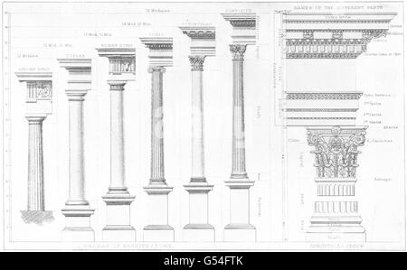 Spalten: Architektur. Griechischen toskanischen Roman Doric Ionischen korinthischen Composite, 1907 Stockfoto