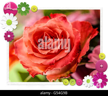 Rote rose blüht in einem Bouquet unscharfen Hintergrund gesetzt. Eine strukturierte und digital bearbeiteten Foto mit gemusterter Bordüre. Stockfoto