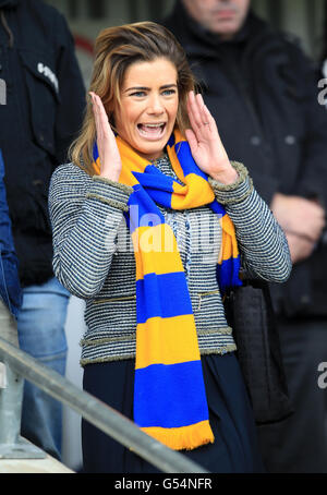 -Blue Square Premier - Playoff - Semi Final - Rückspiel - Mansfield Town V York City - ein Anruf Fußballstadion Stockfoto