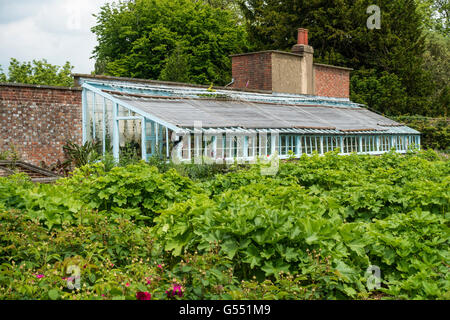 Gewächshaus in Küche Garten Hotel Haus Hotel Kent Charles Darwin Home Stockfoto