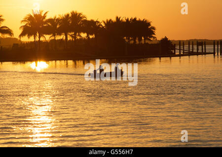 Kleines Motorboot Kreuzfahrten das Wasser in einen orange Sonnenuntergang in Florida, mit Palmen Stockfoto