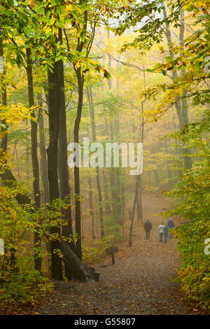 Franconia Notch State Park, New Hampshire, USA, in der Nähe von Wanderer auf Gratweg The Flume, Oktober Stockfoto