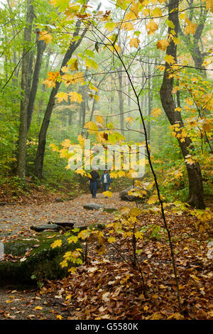 Franconia Notch State Park, New Hampshire, USA, in der Nähe von Wanderer auf Gratweg The Flume, Oktober Stockfoto