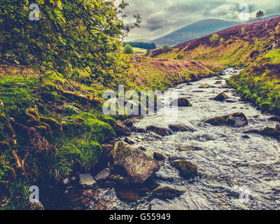 Einem schnell fließenden Fluss durch die wilde Landschaft an der Grenze von Schottland, Großbritannien Stockfoto