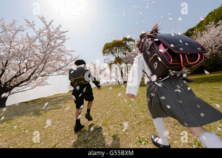 Japanische Grundschüler und Kirschblüten Stockfoto