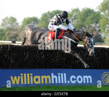 Pferderennen - Damen Abend - Huntingdon Racecourse Stockfoto