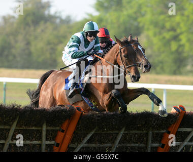 Pferderennen - Ladies Evening - Huntingdon Racecourse. Stravita wird von Brendan Powell-Gewinnern des Ray Hughes Retirement Conditional Jockeys Selling Handicap Hurdle Race geritten Stockfoto