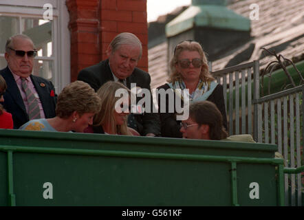 1993: Die Prinzessin von Wales (links) chattet mit Popsänger Cliff Richard während der Stelle Artois Championships im Queen's Club. Mit ihnen ist eine Freundin der Prinzessin, Kate Menzies. Stockfoto