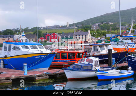 Dingle Halbinsel Dingle, County Kerry, Irland Stockfoto