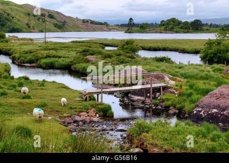 Gleninchaquin Park, Cloonee Lough, Beara Halbinsel, County Kerry, Irland Stockfoto