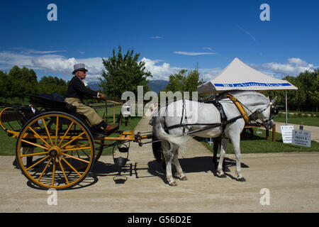 Turin, Italien. 19. Juni 2016. Am dritten Intenational Wettbewerb der traditionellen Angriffe. Gärten des Palastes von Venaria.  Mannschaft Abfahrt für Motion-Test. Bildnachweis: Daniele Mattioda/Alamy Live-Nachrichten Stockfoto