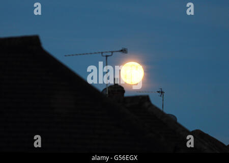 Epsom, Surrey, England, UK. 20. Juni 2016. Der Aszendent voll oder "Erdbeer Mond" am Abend des Sommer-Sonnenwende, wie gesehen in Epsom Surrey. Bildnachweis: Julia Gavin UK/Alamy Live-Nachrichten Stockfoto