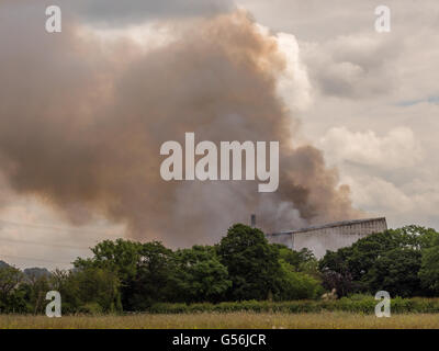 Leyland, Lancashire, UK. 21. Juni 2016. Großbrand in Wiltshire Hobelspänen und Sägemehl liefert verursacht einige Residemnts evakuiert werden. Bildnachweis: Sue Burton/Alamy Live-Nachrichten Stockfoto