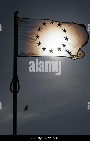 Cardiff, UK. 21. Juni 2016. Eine EU-Flagge gegen die Sonne vor dem Rathaus in Cardiff, Südwales. Großbritannien geht an die Urnen für eine Volksabstimmung über seinen Verbleib der EU am 23. Juni entscheiden.  Bildnachweis: Matthew Horwood / Alamy Live News Stockfoto