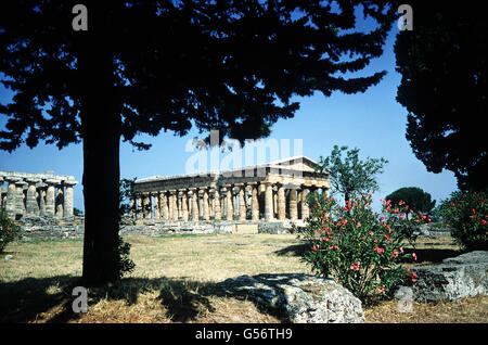 PAESTUM: Teil des Komplexes archaischer griechischer Tempel (c530-460BC) in der antiken Stadt Paestum, bei Neapel. Süditalien (den Römern als Magna Graecia bekannt) wurde stark von griechischen Siedlern kolonisiert und das Gebiet enthält einige der schönsten griechischen Tempel außerhalb Griechenlands. Stockfoto