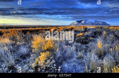 Raureif auf Beifuß durch den großen südlichen Butte in den Krater des Moon National Monument in der Snake River Plain in der Nähe von Arco, Idaho. Stockfoto