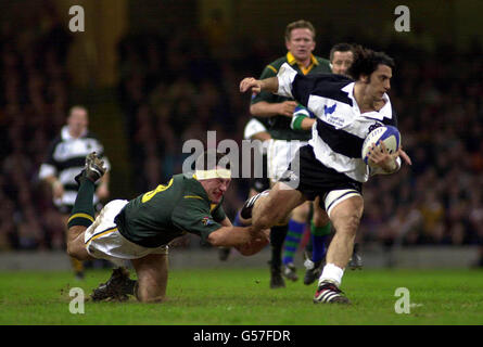 Der Barbaren Agustin Pichot durchbricht die südafrikanische Verteidigung, um beim traditionellen End-of-Tour-Spiel im Millennium Stadium in Cardiff zu Punkten. Stockfoto