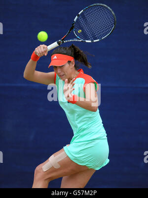 Tennis - AEGON Classic 2012 - Tag zwei - Edgbaston Priory Club Stockfoto