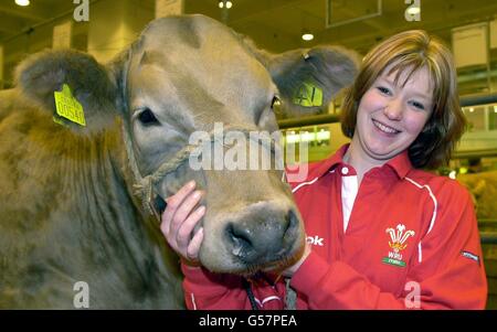 Iola Roberts, 25, aus Ysbyt Y Ifan, Betws Y Coed, Nordwales während der Royal Smithfield Show, die vom Landwirtschaftsminister Nick Brown am Earls Court in London offiziell eröffnet wurde. Stockfoto