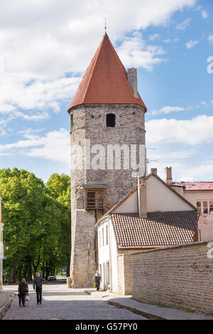 TALLINN, Estland - 12. Juni 2016: ein Wehrturm der Mauer, die die Stadt Tallinn umgeben Stockfoto