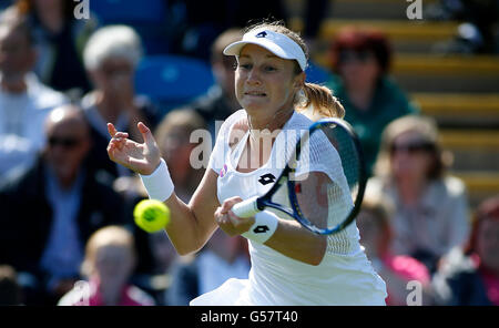 Russlands Ekaterina Makarova in Aktion beim ersten Tag des 2016 AEGON International in Devonshire Park, Eastbourne. Stockfoto