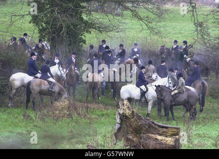 Fuchsjagd. Mitglieder der Jagdhunde des Herzogs von Beaufort warten darauf, während des Meet auszuziehen. Stockfoto