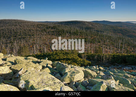 Blick vom Mt Lusen in Wäldern mit toten Bäumen getötet durch Borkenkäfer im Nationalpark Bayerischer Wald, Bayern, Deutschland Stockfoto