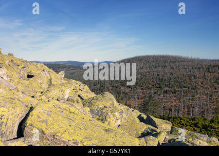 Blick vom Mt Lusen in Wäldern mit toten Bäumen getötet durch Borkenkäfer im Nationalpark Bayerischer Wald, Bayern, Deutschland Stockfoto