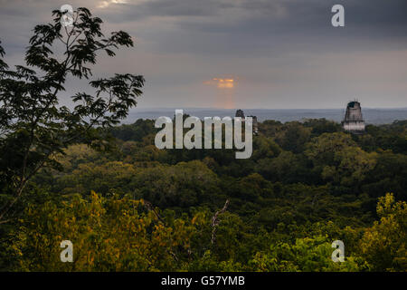 Der Tempel des großen Platzes und dem Tempel 3 erheben sich aus dem Dschungel Baldachin gesehen vom Tempel 4 Guatemalas Maya-Ruinen von Tikal Stockfoto