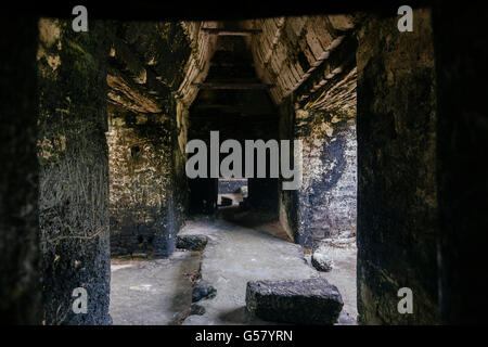 Ein abgenutzter Flur in der Plaza der sieben Tempel in Mundo Perdido oder verlorene Welt Abschnitt der alten Maya-Ruinen von Tikal Stockfoto