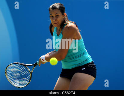 Die französische Marion Bartoli hat am dritten Tag der AEGON International im Devonshire Park, Eastbourne, gegen die kanadische Aleksandra Wozniak gehandelt. Stockfoto