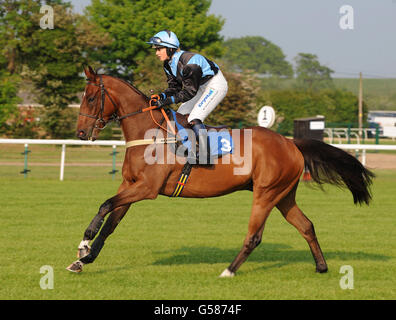 Pferderennen - Damen Abend - Huntingdon Racecourse Stockfoto