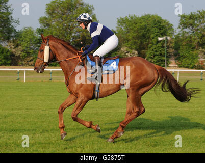 Pferderennen - Damen Abend - Huntingdon Racecourse Stockfoto