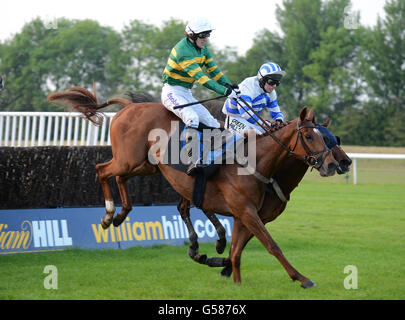 Pferderennen - Damen Abend - Huntingdon Racecourse Stockfoto