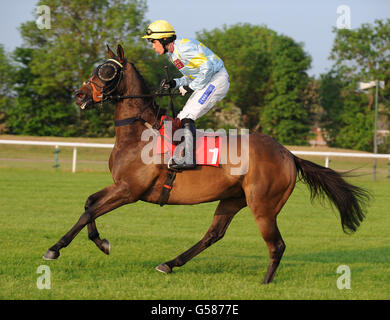 Pferderennen - Damen Abend - Huntingdon Racecourse Stockfoto