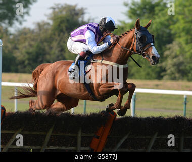 Pferderennen - Ladies Evening - Huntingdon Racecourse. Tuscany Star unter James Bestl in Aktion beim Ray Hughes Retirement Conditional Jockeys Selling Handicap Hurdle Race Stockfoto