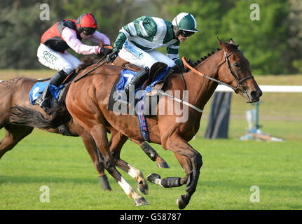 Pferderennen - Damen Abend - Huntingdon Racecourse Stockfoto