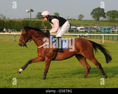 Pferderennen - Ladies Evening - Huntingdon Racecourse. Mix N Match von Matt Griffiths im Ray Hughes Retirement Conditional Jockeys Selling Handicap Hurdle Race Stockfoto