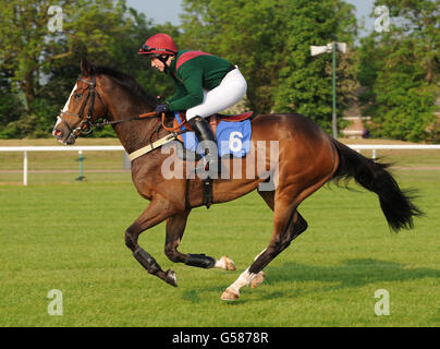 Pferderennen - Damen Abend - Huntingdon Racecourse Stockfoto