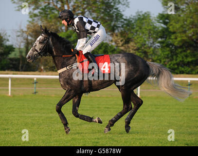 Pferderennen - Damen Abend - Huntingdon Racecourse Stockfoto