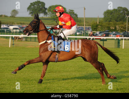 Pferderennen - Damen Abend - Huntingdon Racecourse Stockfoto