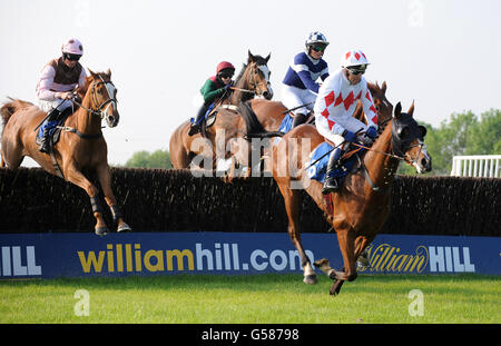 Pferderennen - Damen Abend - Huntingdon Racecourse Stockfoto